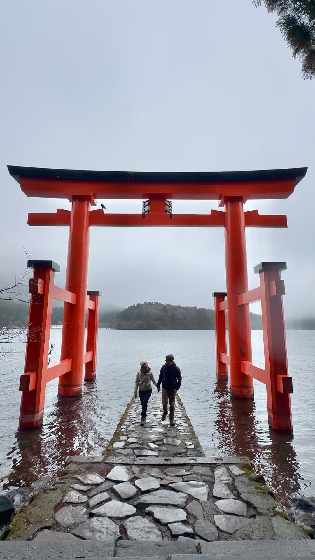 Popular Torii Gate Photo Spot in Hakone