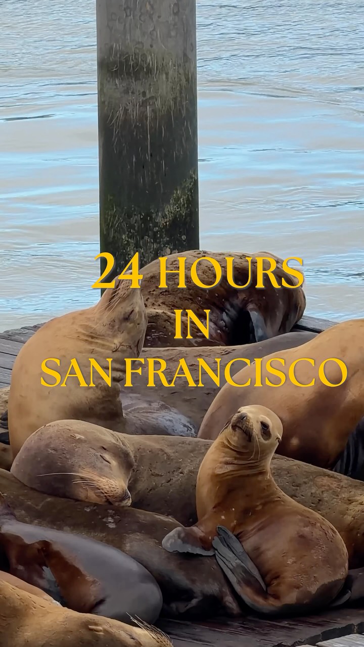 San Francisco Attractions And A Few Travel Tips