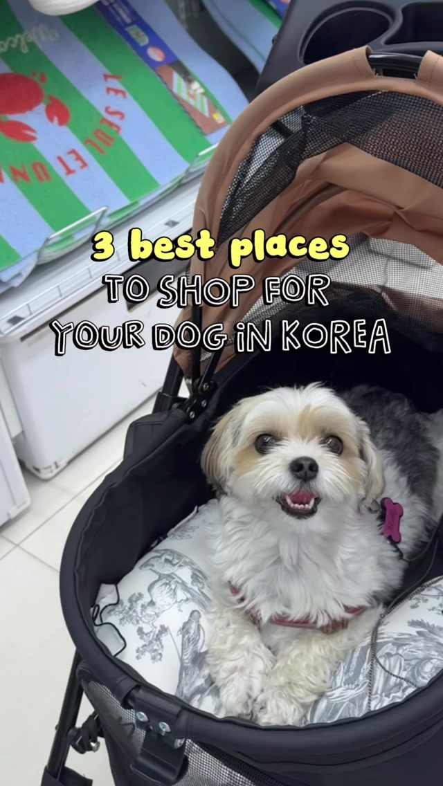 Korean Shops for Dog Supplies
