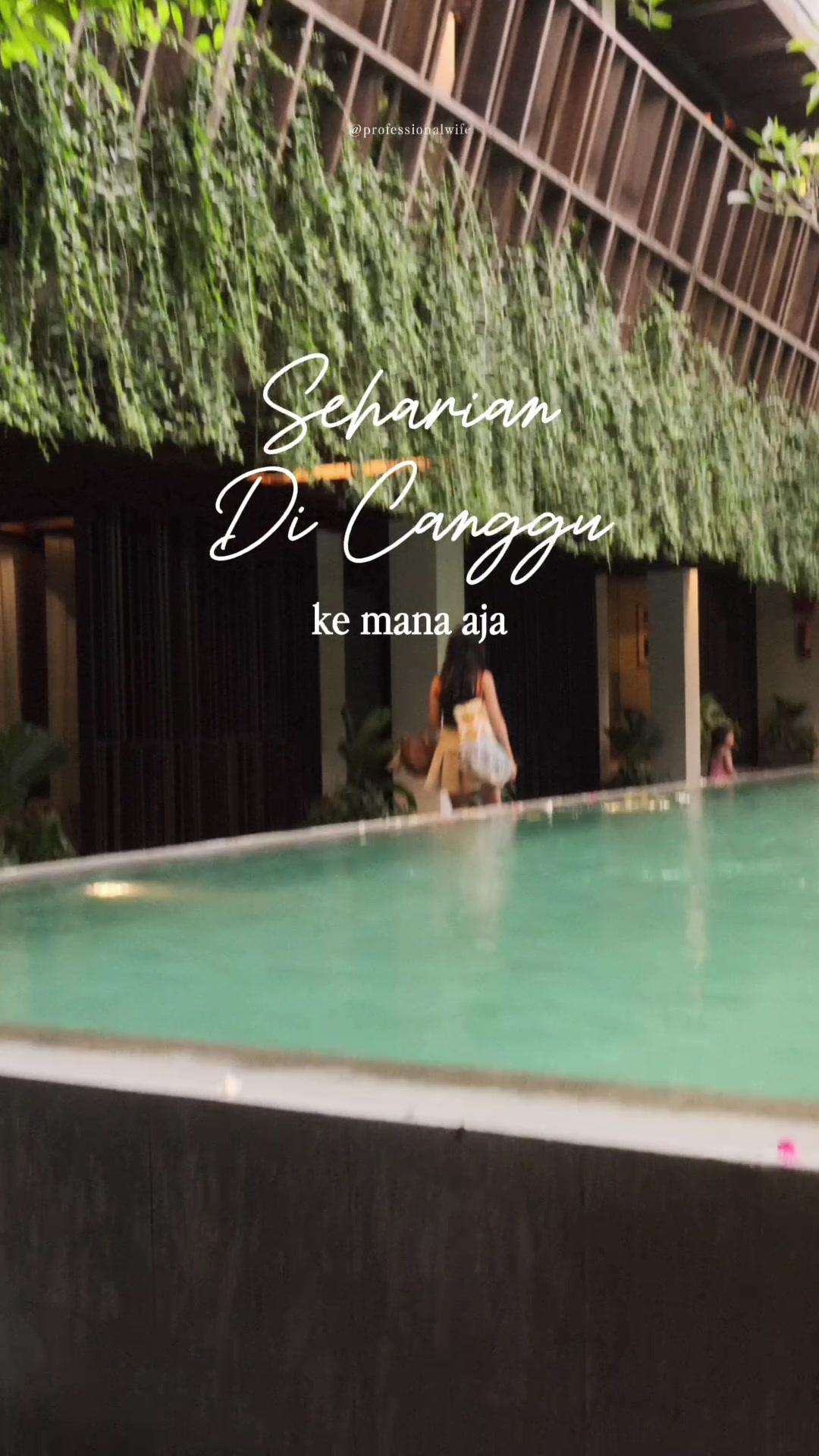 Canggu Beach Area: A Day Trip Guide