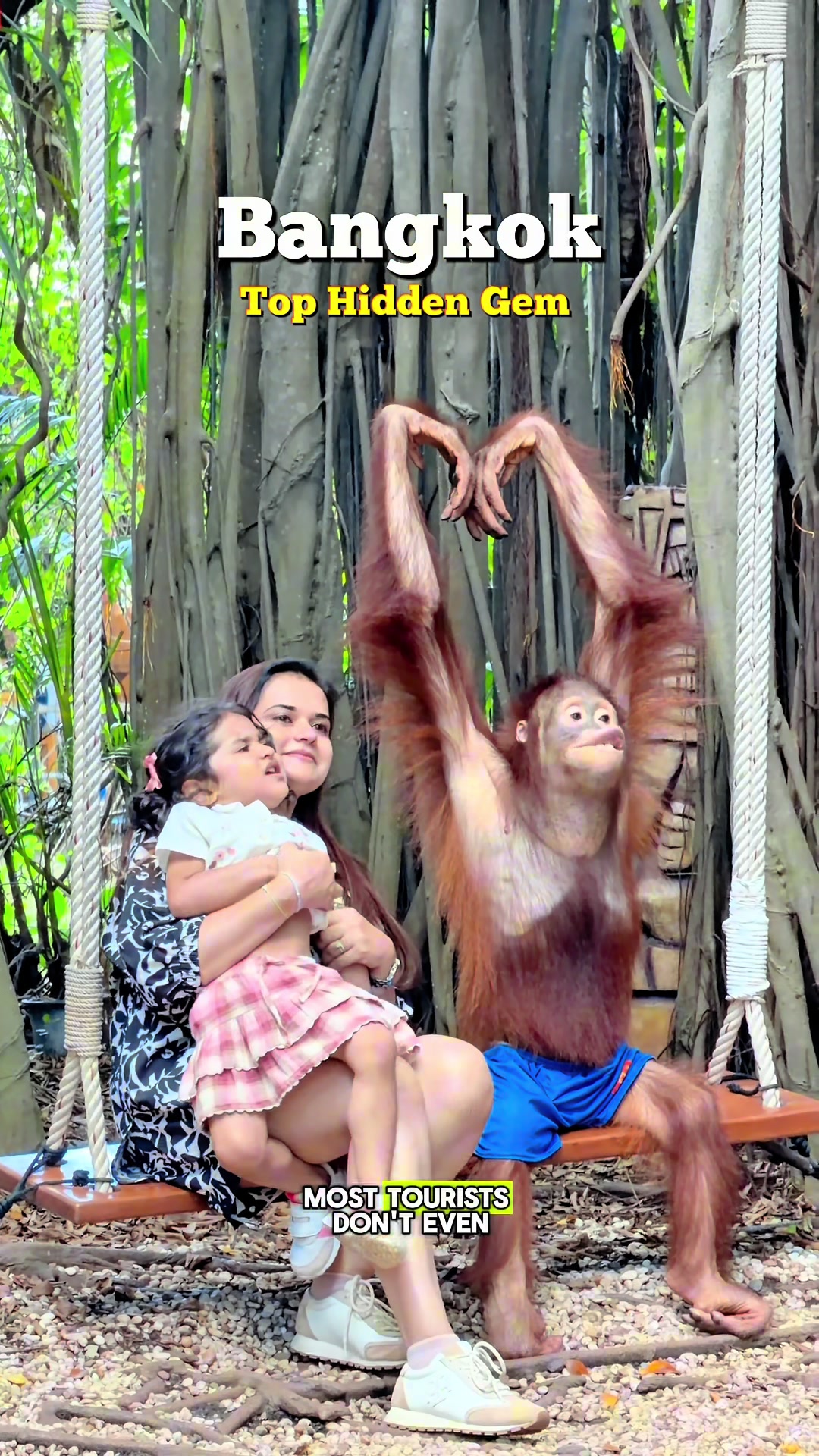 Safari World Bangkok's Animal Encounters and Shows