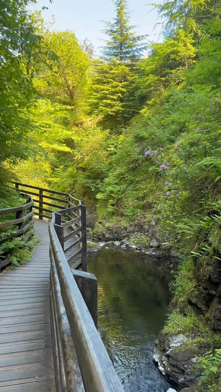 Glenariff Forest: A Tropical Ravine Waterfall Walk