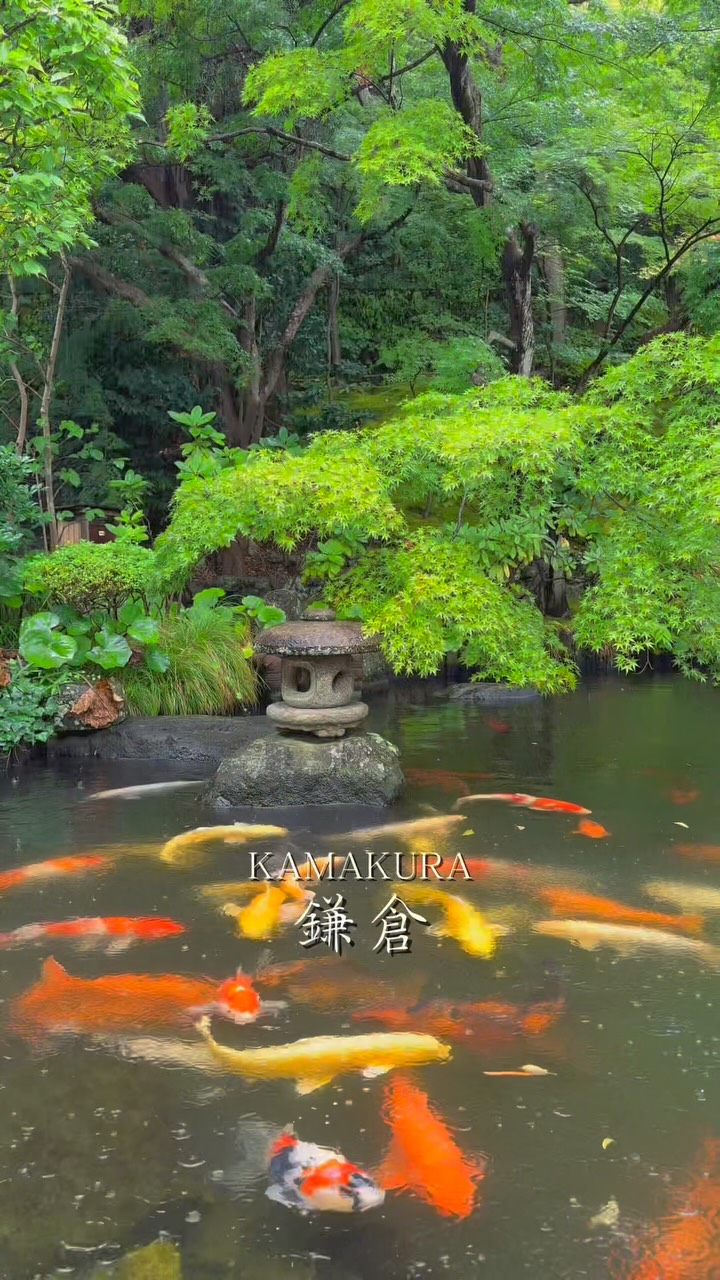 Kamakura Hasedera: A Serene Summer Escape