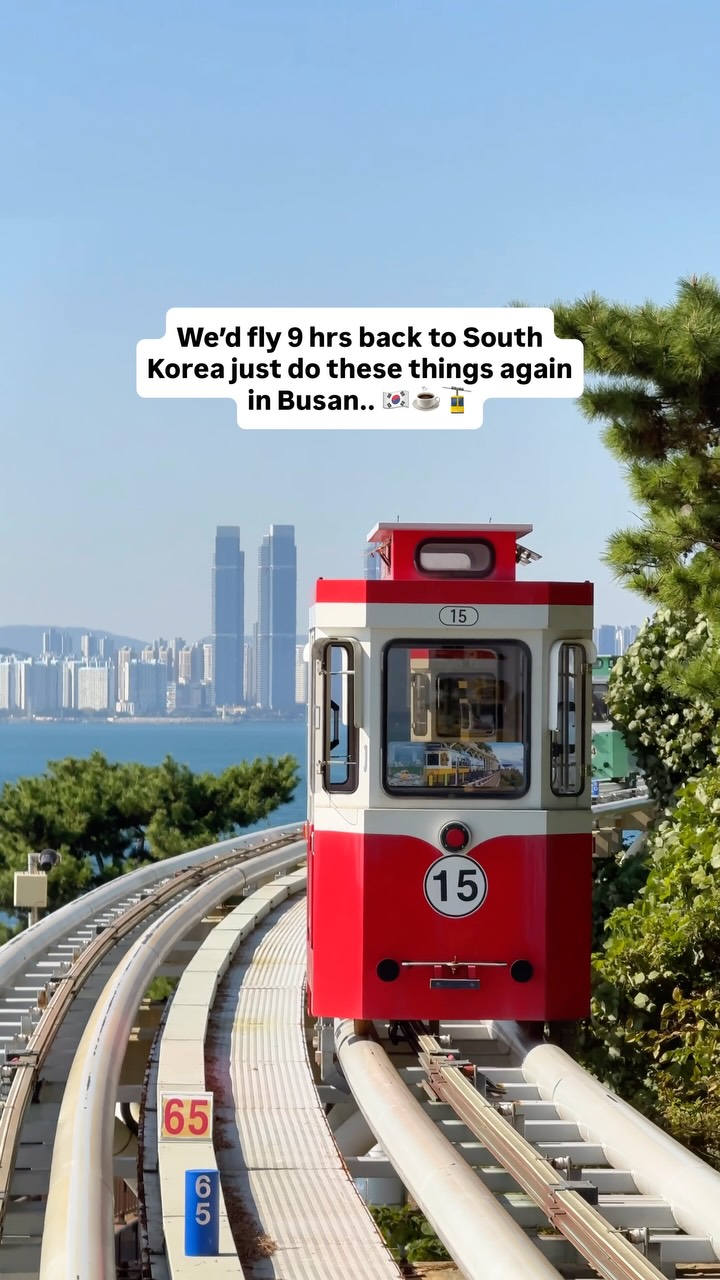 Busan's Coastal Charm: Villages, Markets, and Cafes