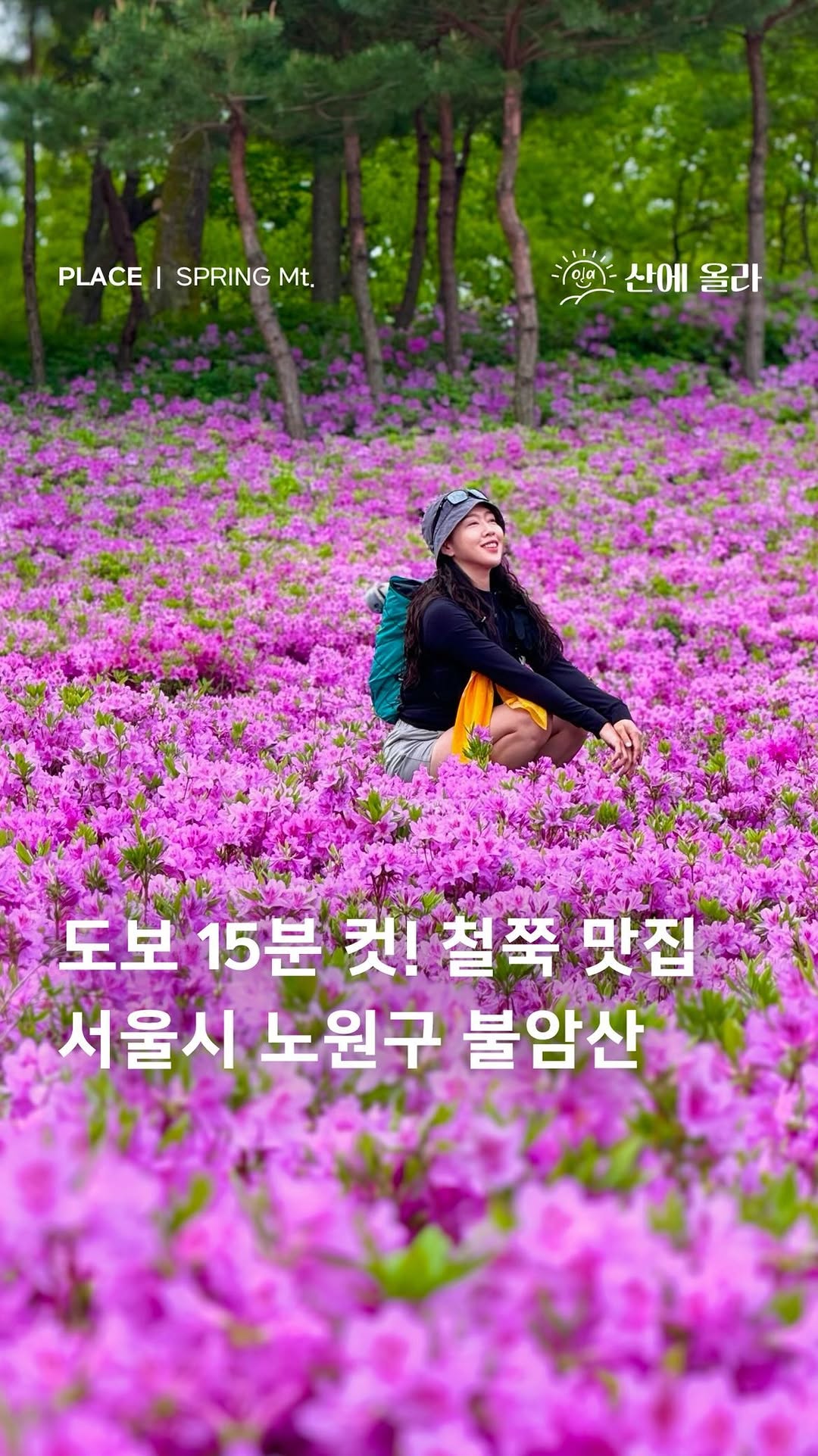 Buramsan Azalea Garden: Seoul's Accessible Spring Bloom
