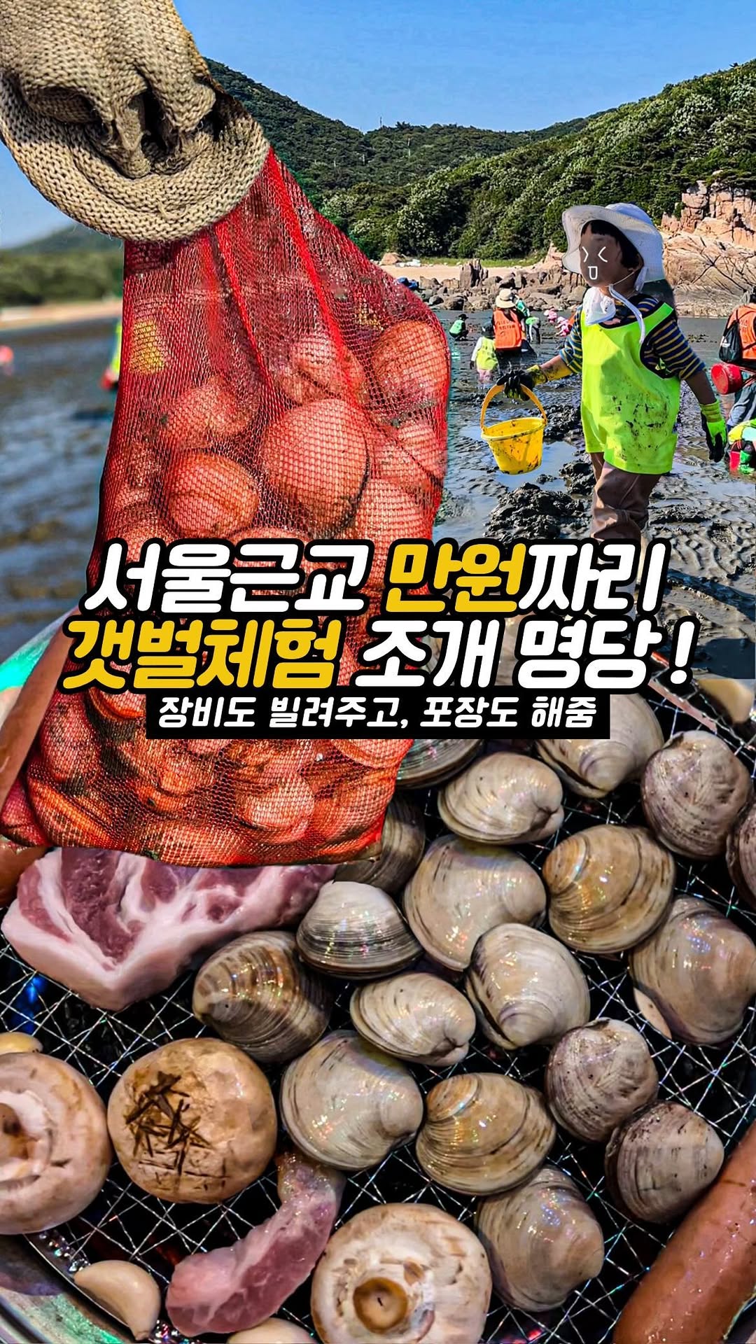 Muuido Island Offers Abundant Clam Digging Experiences