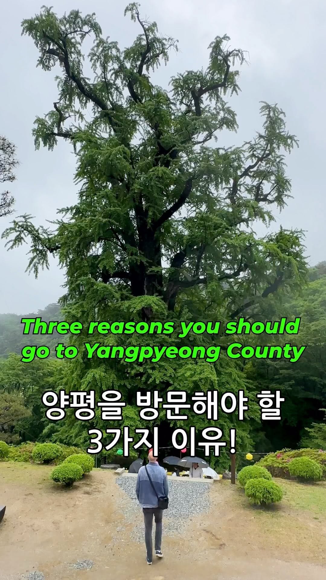 3 Places in Yangpyeong