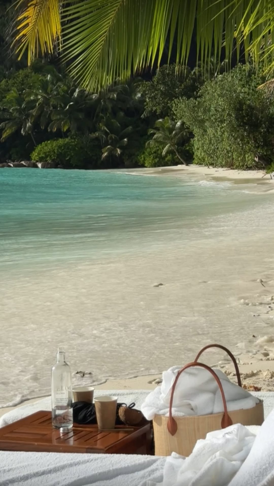 Seychelles Resorts And Beaches