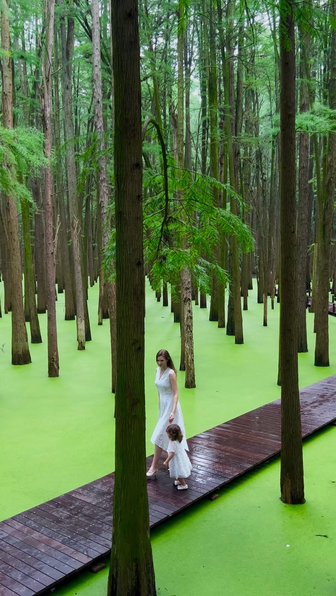 Qingshanhu Scenic Spot's Magical Matcha Lake