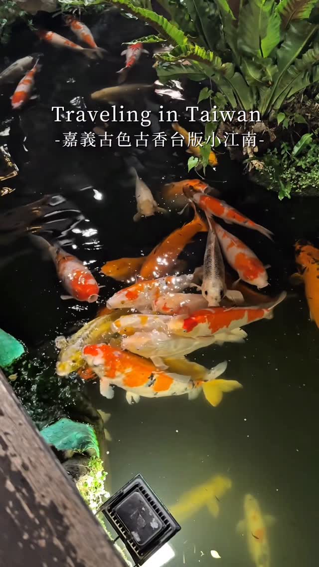 Tea House With Koi Pond Offers Relaxing Ambiance