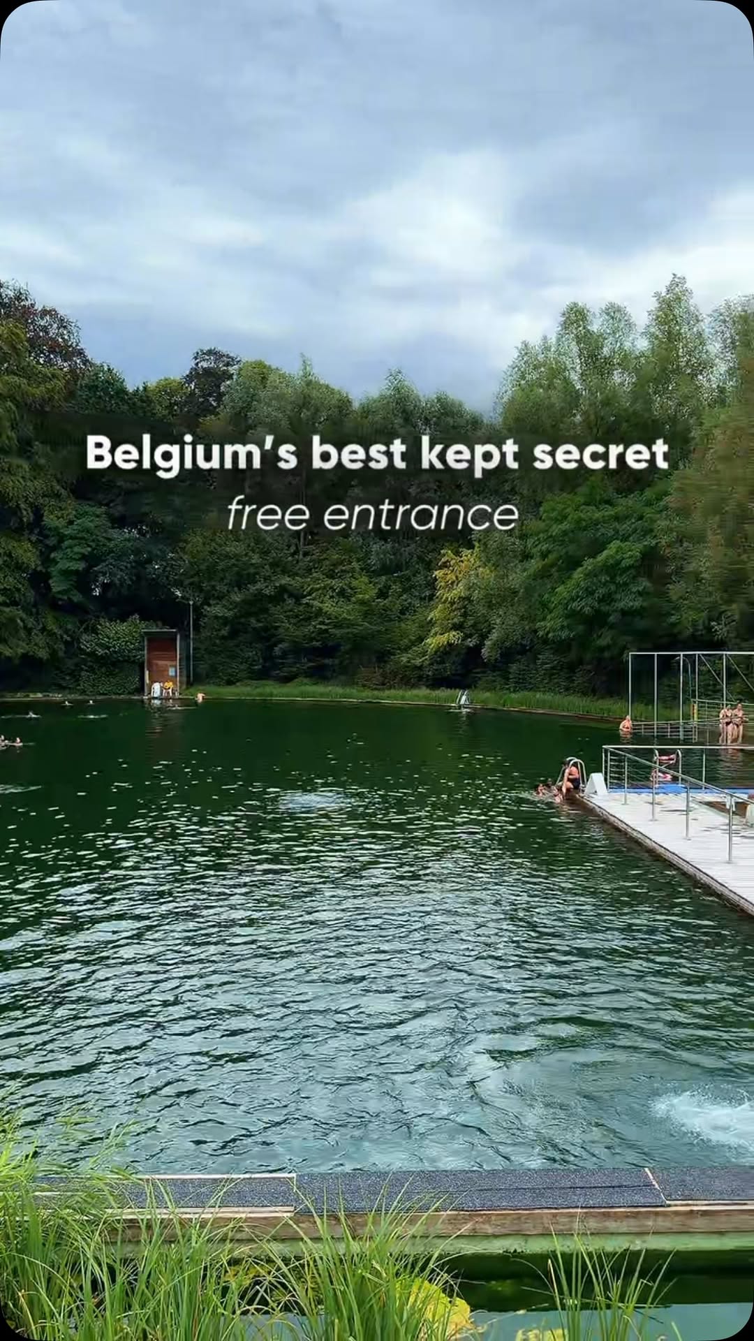 Boekenbergpark: Europe's Largest Ecological Swimming Pond