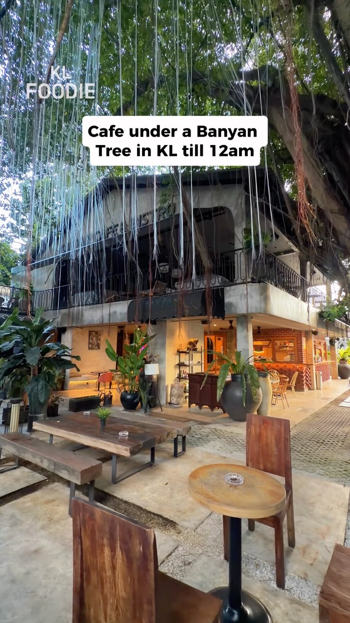 Banyan Tree Cafe Offers Green Oasis