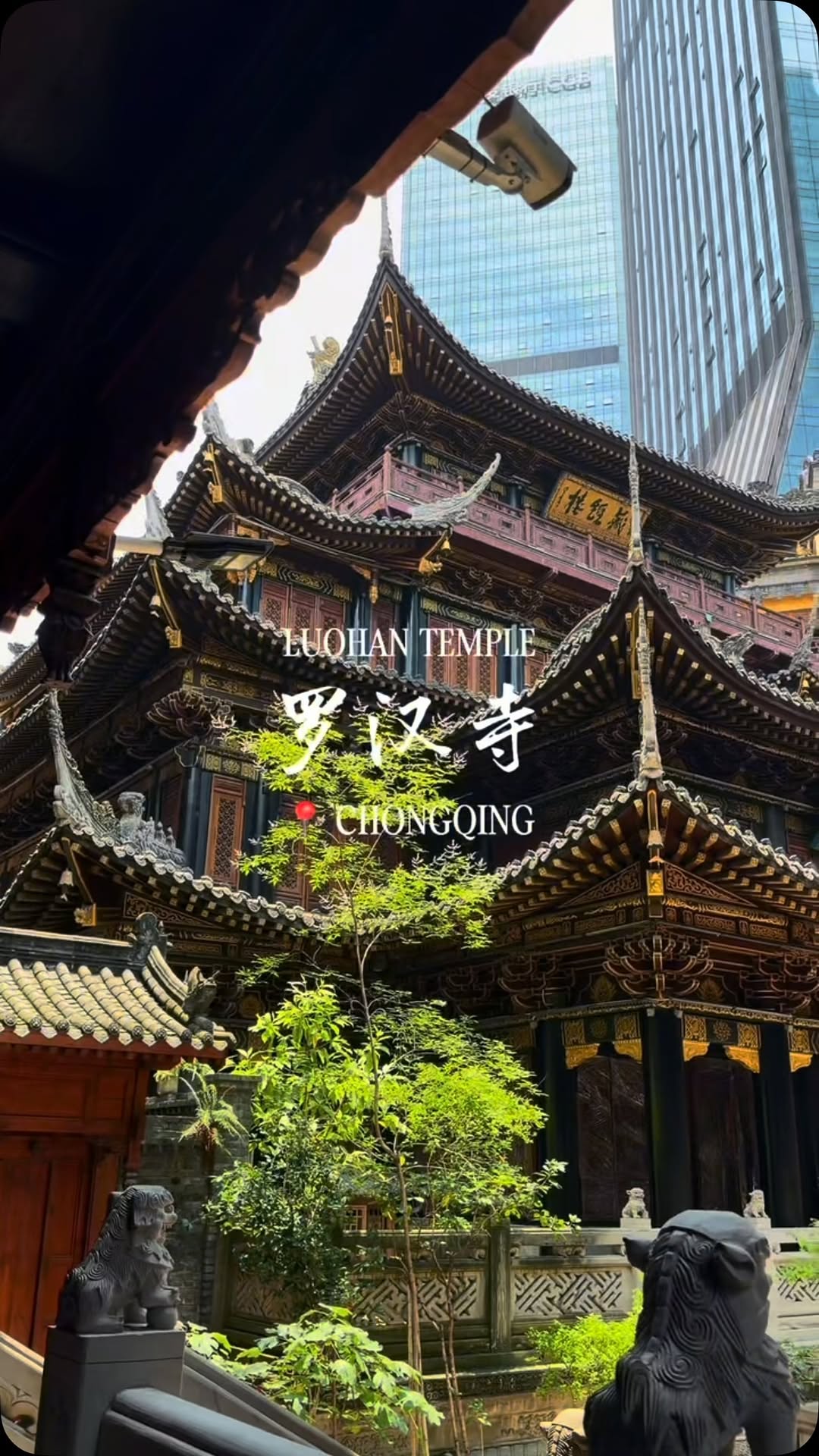 Luohan Temple: A Must-See Chongqing Attraction