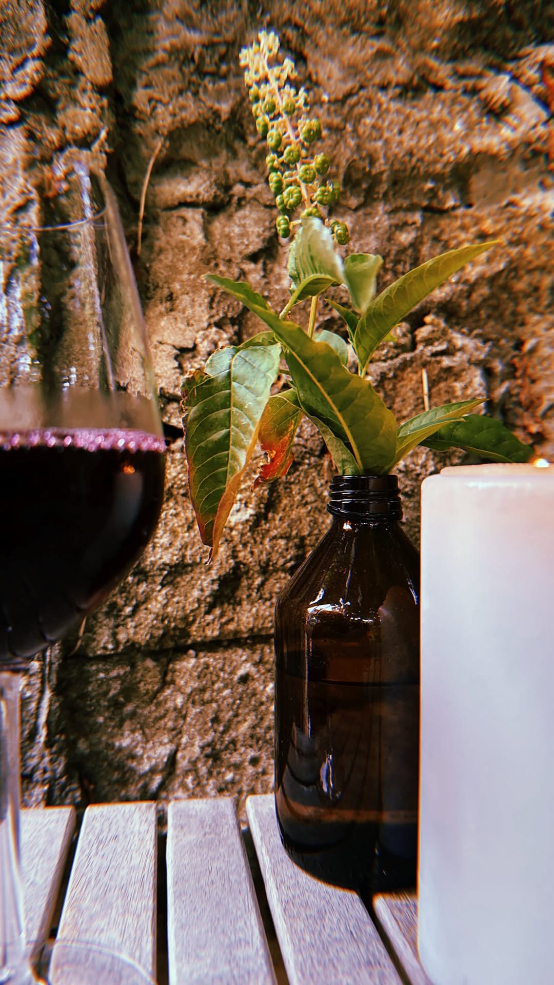Tini Mini: Porto's Natural Wine and Tapas Haven