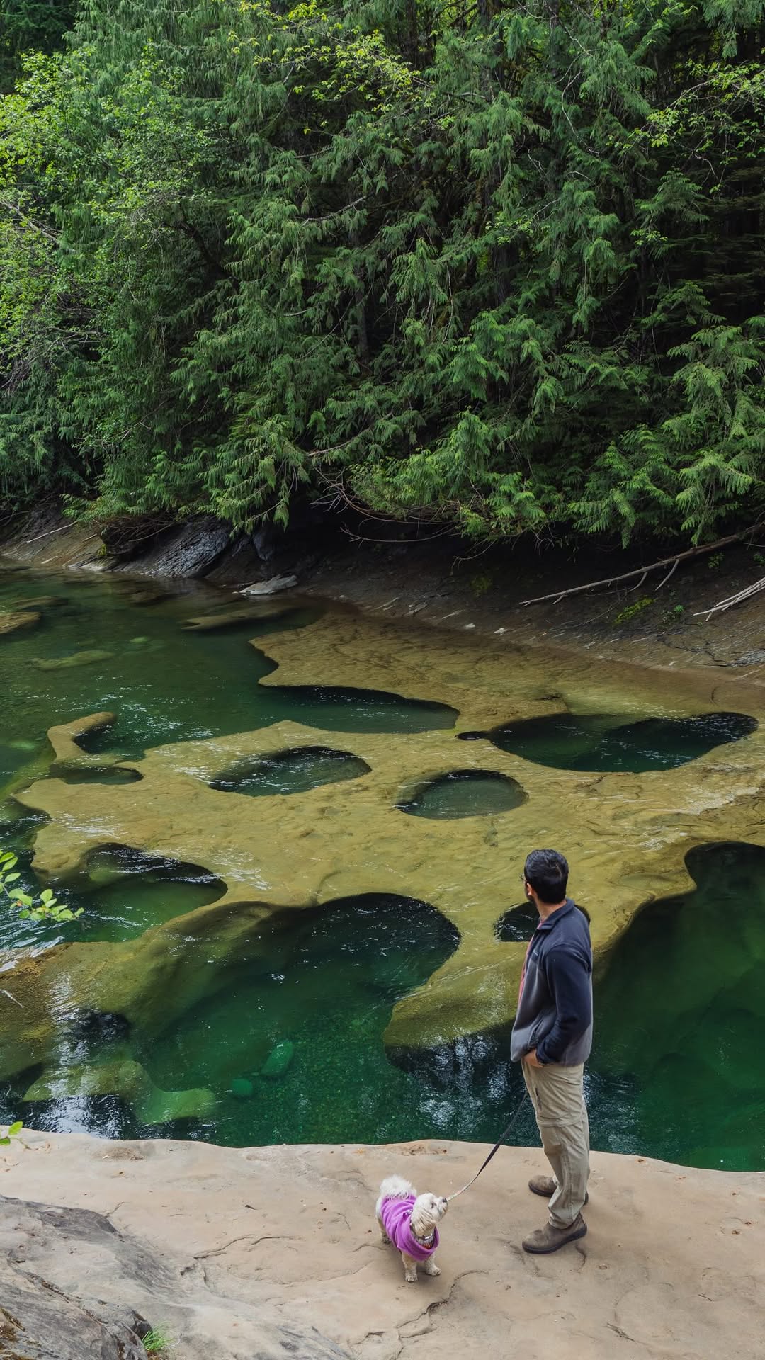 Vancouver Island's Natural Wonders And City Escapes