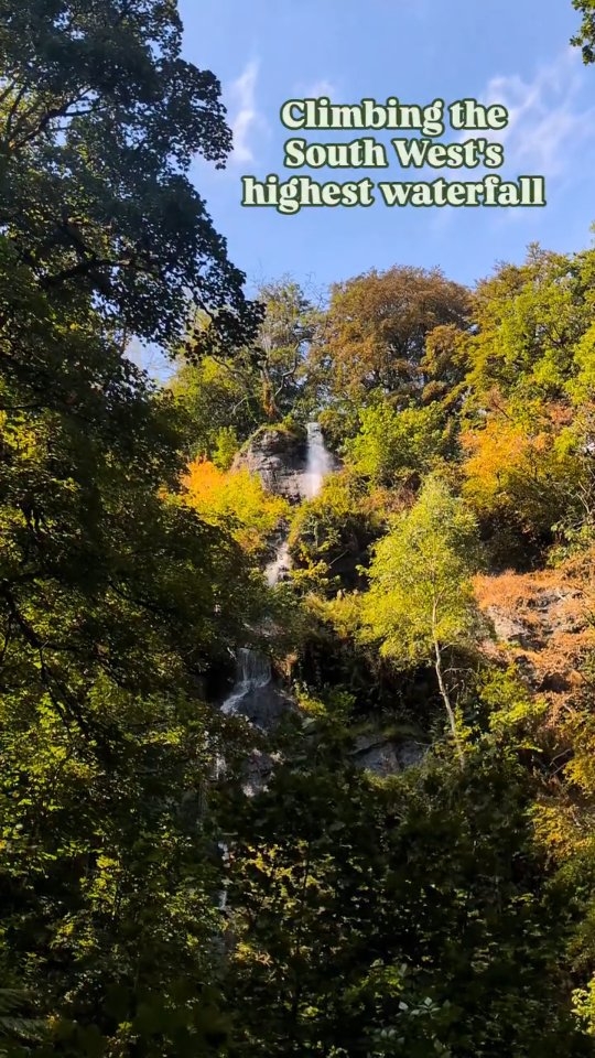 Waterfalls and Family Fun at Canonteign Falls