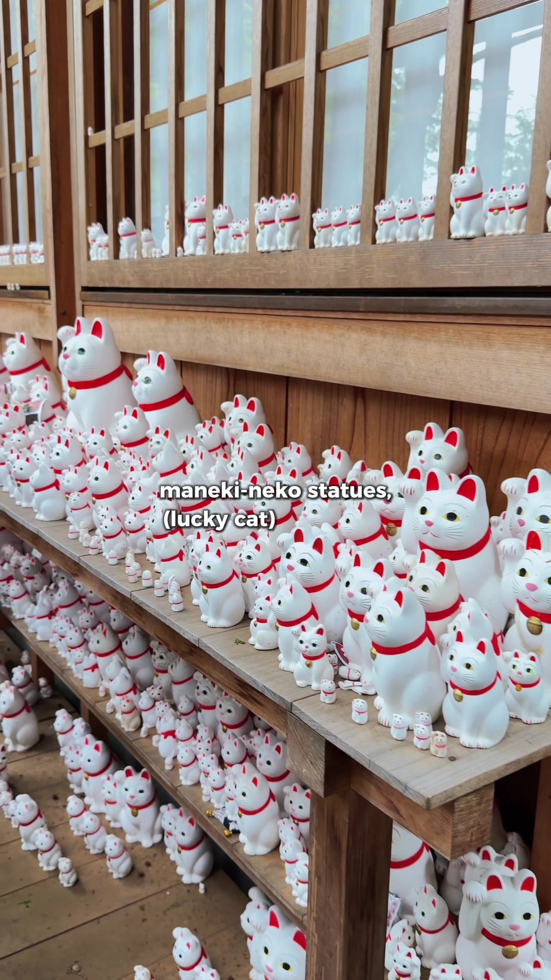 Gōtokuji Temple: A Tranquil Lucky Cat Sanctuary