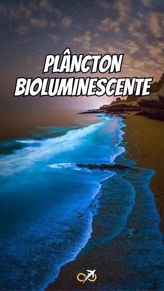 Beaches Where You Can Walk Through Bioluminescent Seas