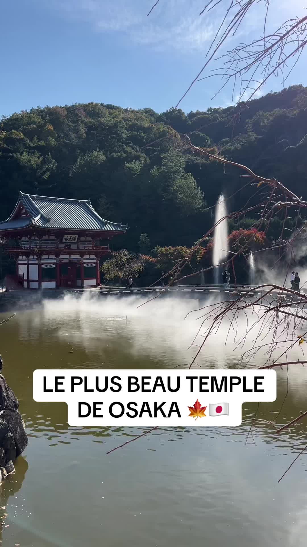 Katsuo-ji Temple's Autumn Foliage and Daruma Dolls