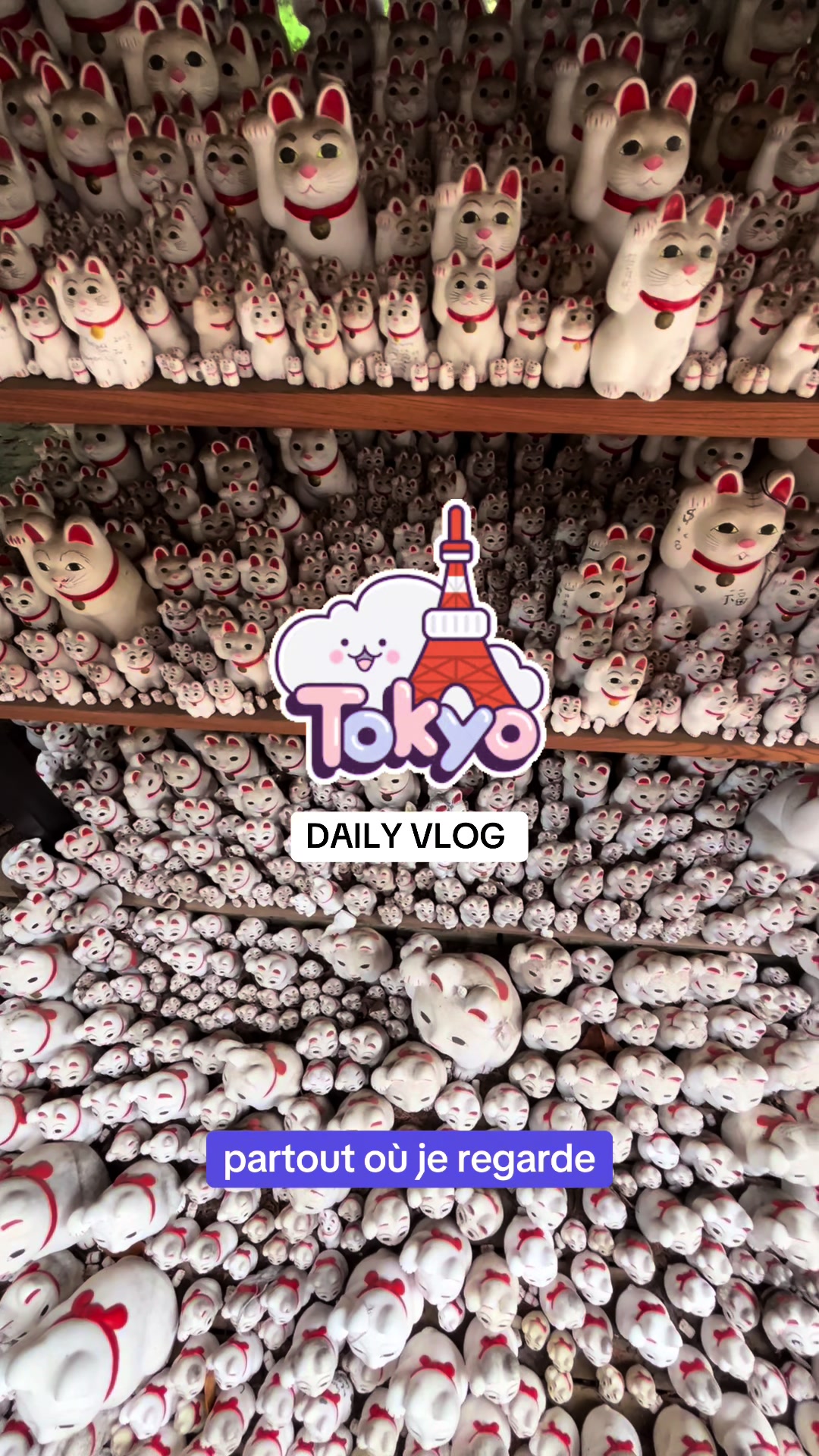 Tokyo Hotspots: Harajuku, Shinjuku, Gōtokuji, RARASAND