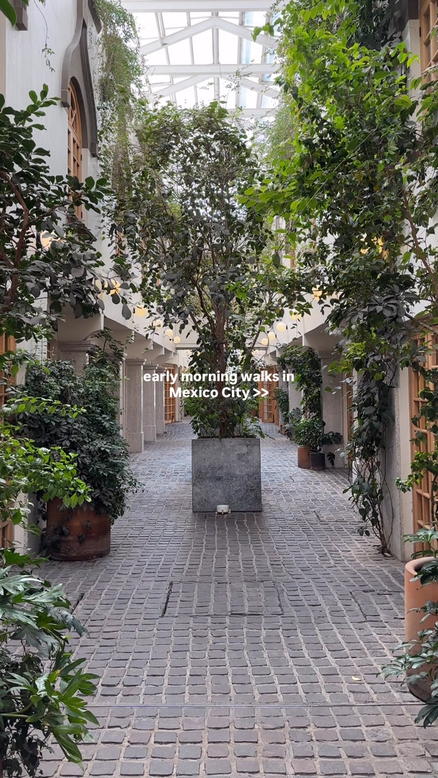 12 Places in Ciudad de México
