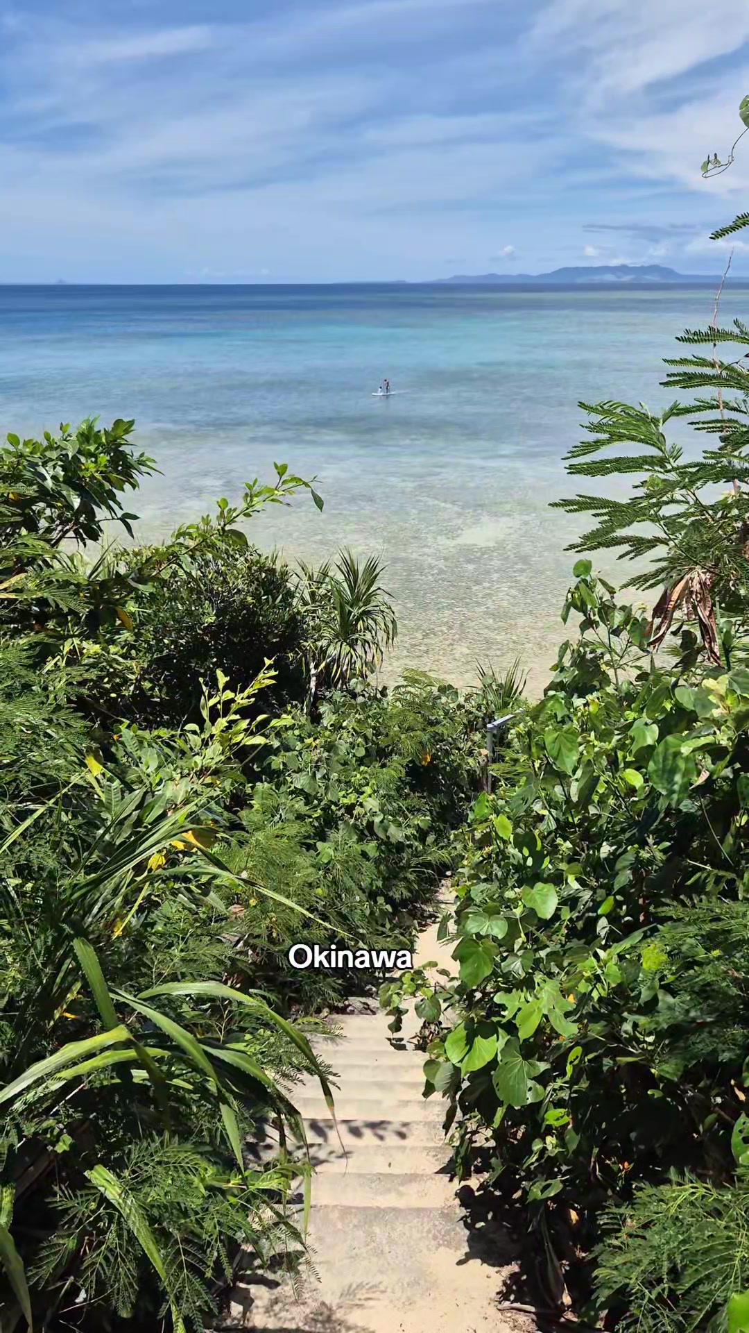 3 Places in Shizuoka