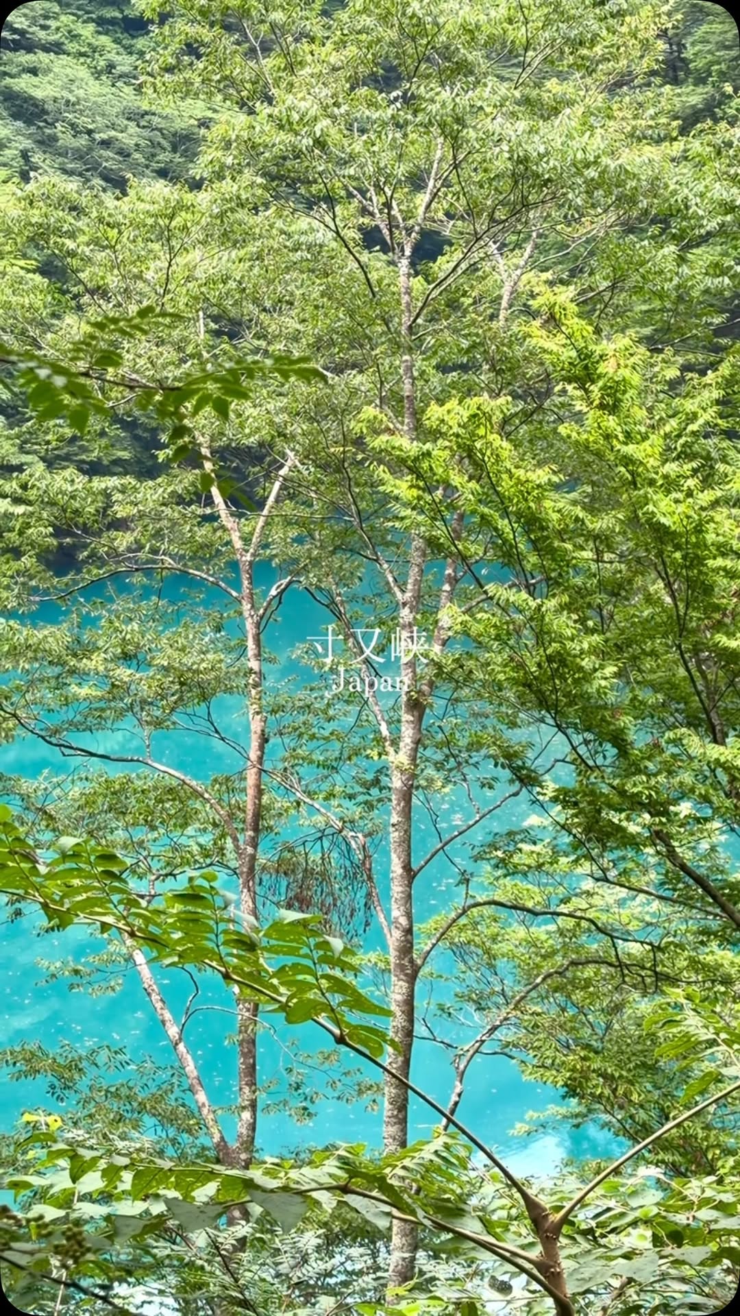 2 Attractions in Kawanehon