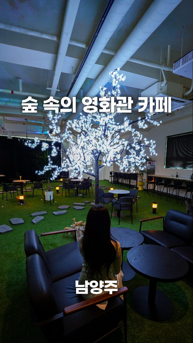 Forest Cinema Cafe With Aurora Screens