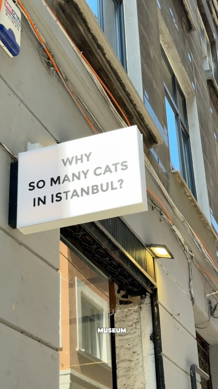 Unique Istanbul Shops And Museums
