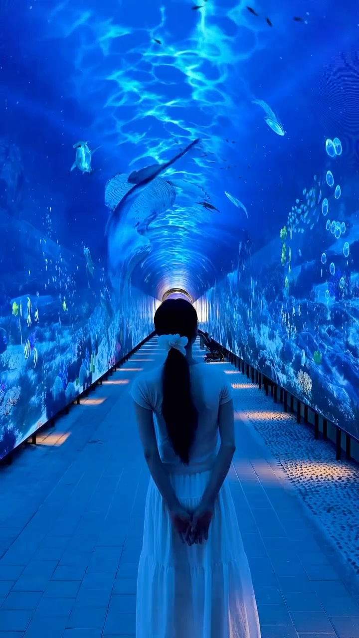 Namyangju's Immersive Media Art Tunnel