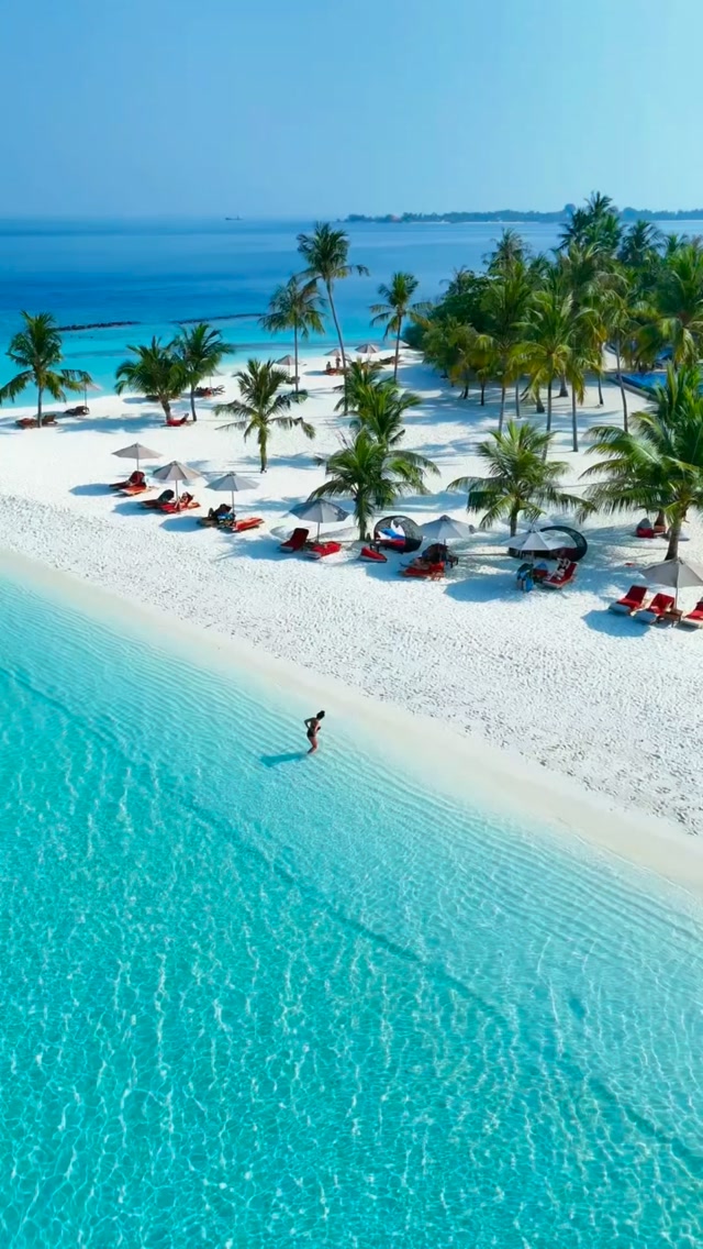 Zanzibar Attractions: Beaches, Aquarium, Snorkeling
