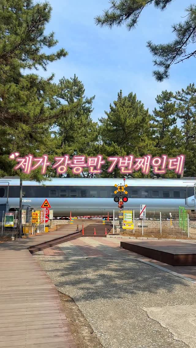 Gangneung Trip Highlights Local Eats and Scenic Views