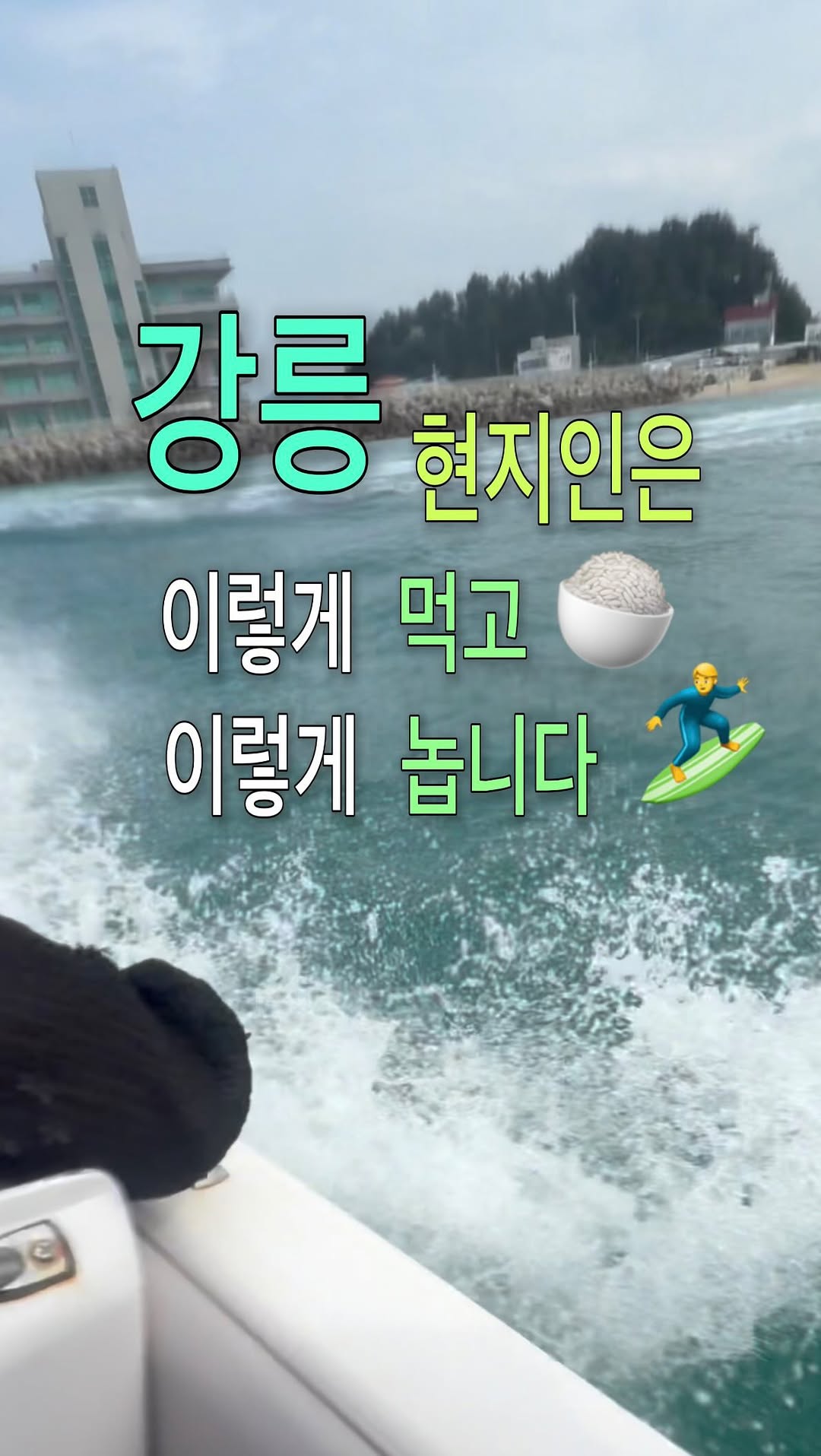 Gangneung Local Eats And Activities Showcase