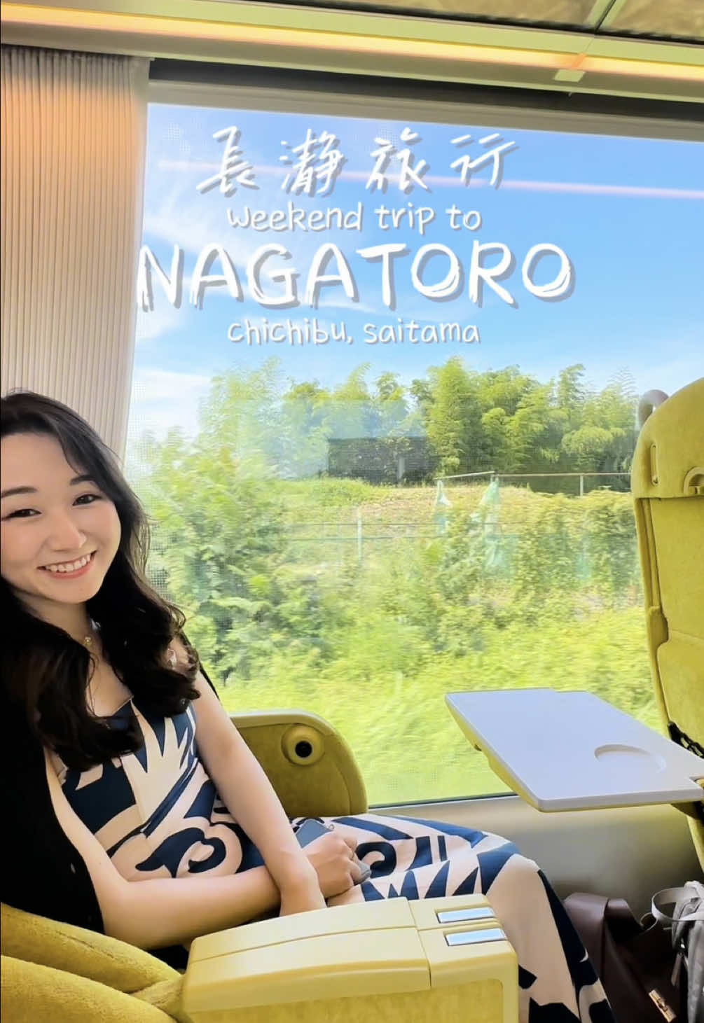 Nagatoro Summer Escape: Hydrangeas, Rocks, and Somen