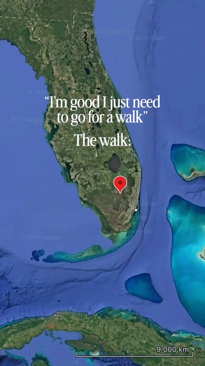 Everglades Boardwalk Offers Elevated Nature Views