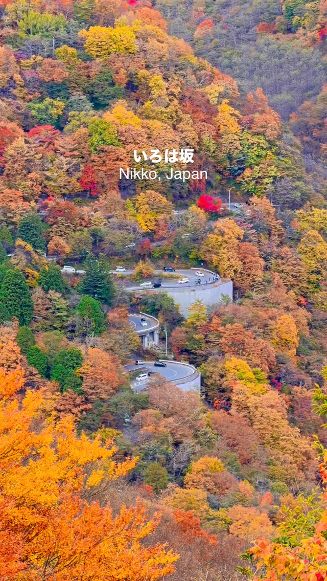 Two Scenic Japanese Mountain Roadways