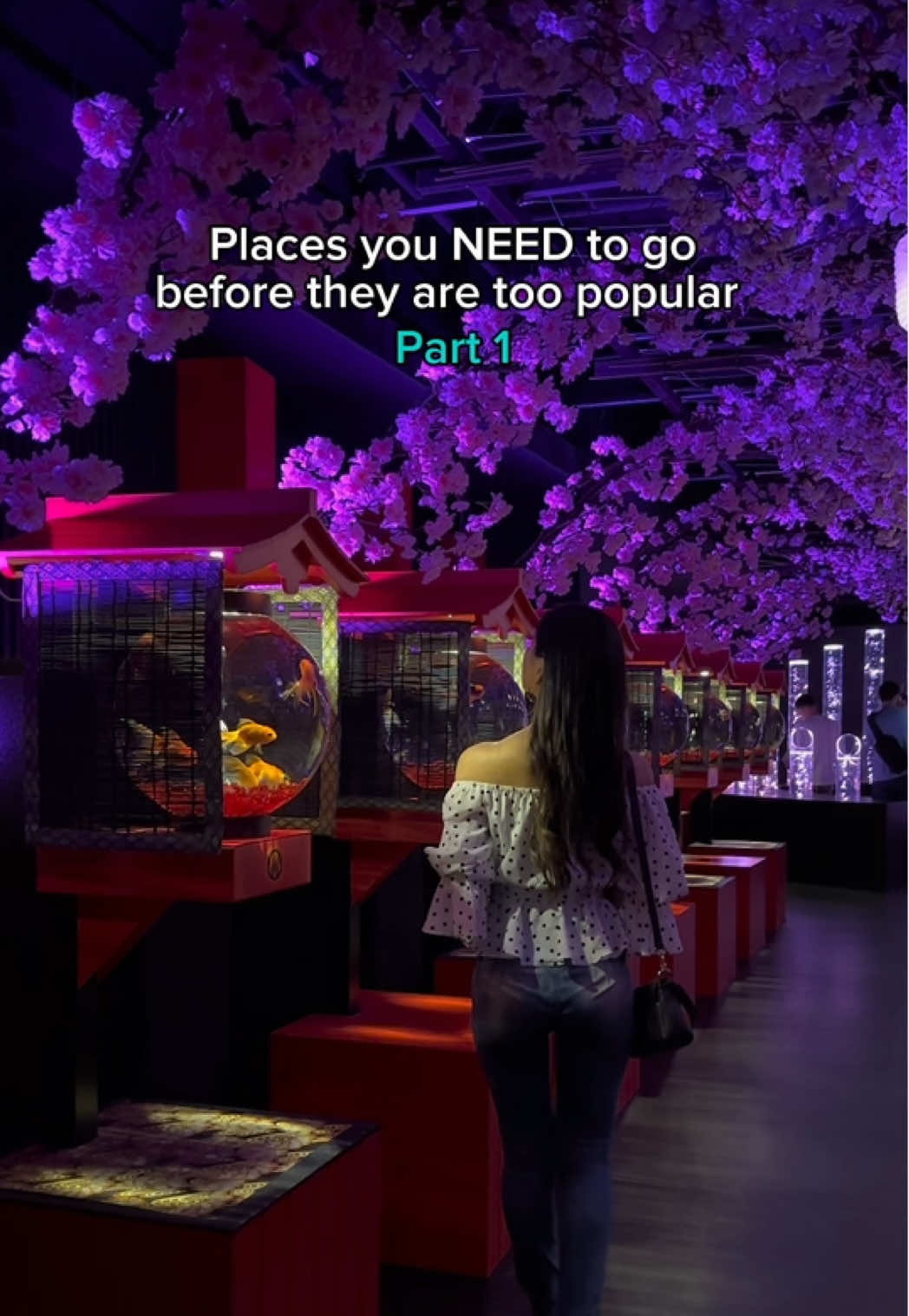 Art Aquarium Museum: Goldfish and Artistic Light Displays