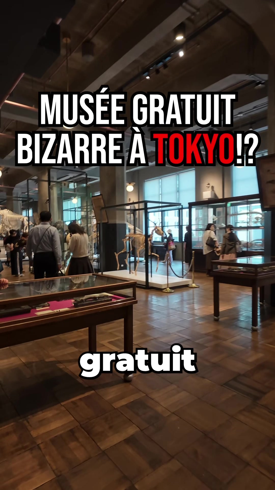 Tokyo Station's Strange Museum