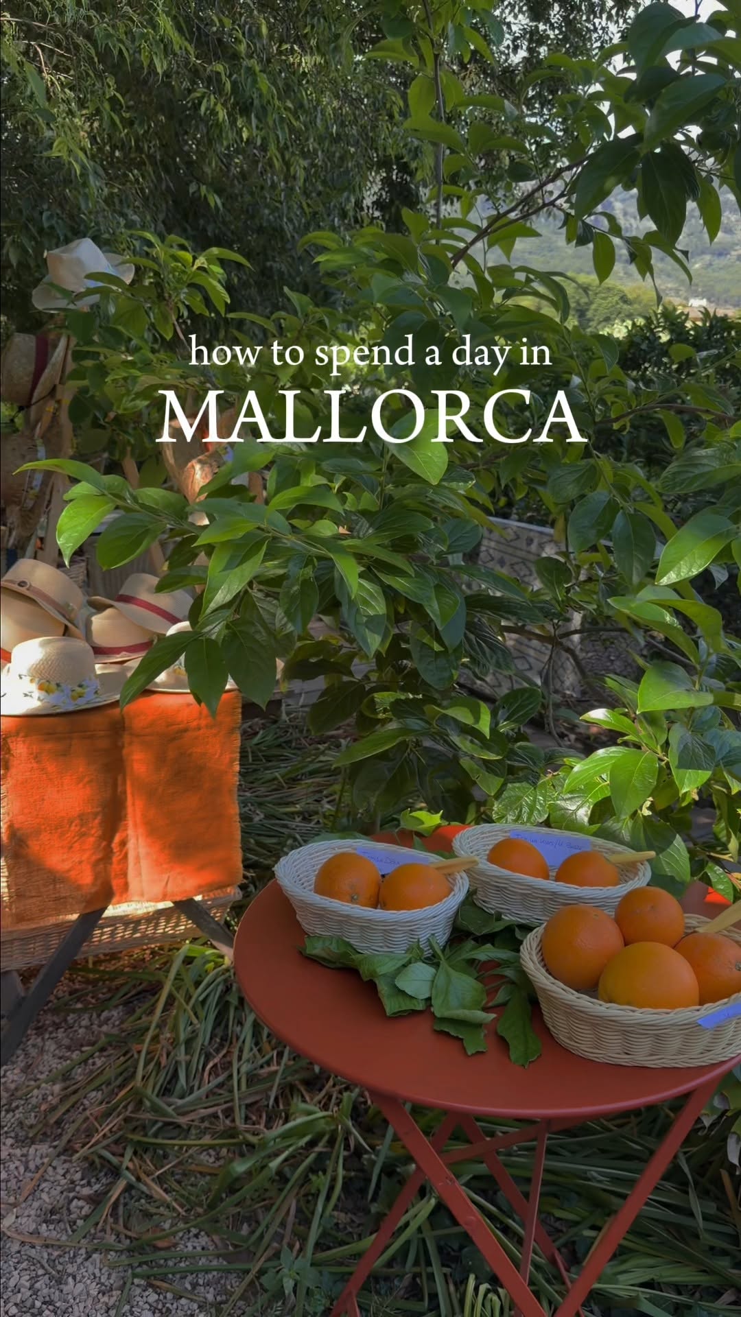 Mallorca's Coastal Charm: Sóller and Deià Delights