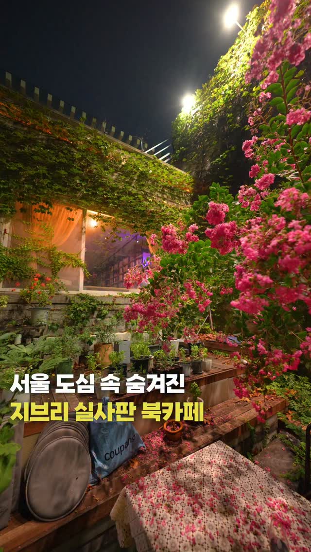 1 Places in Seoul