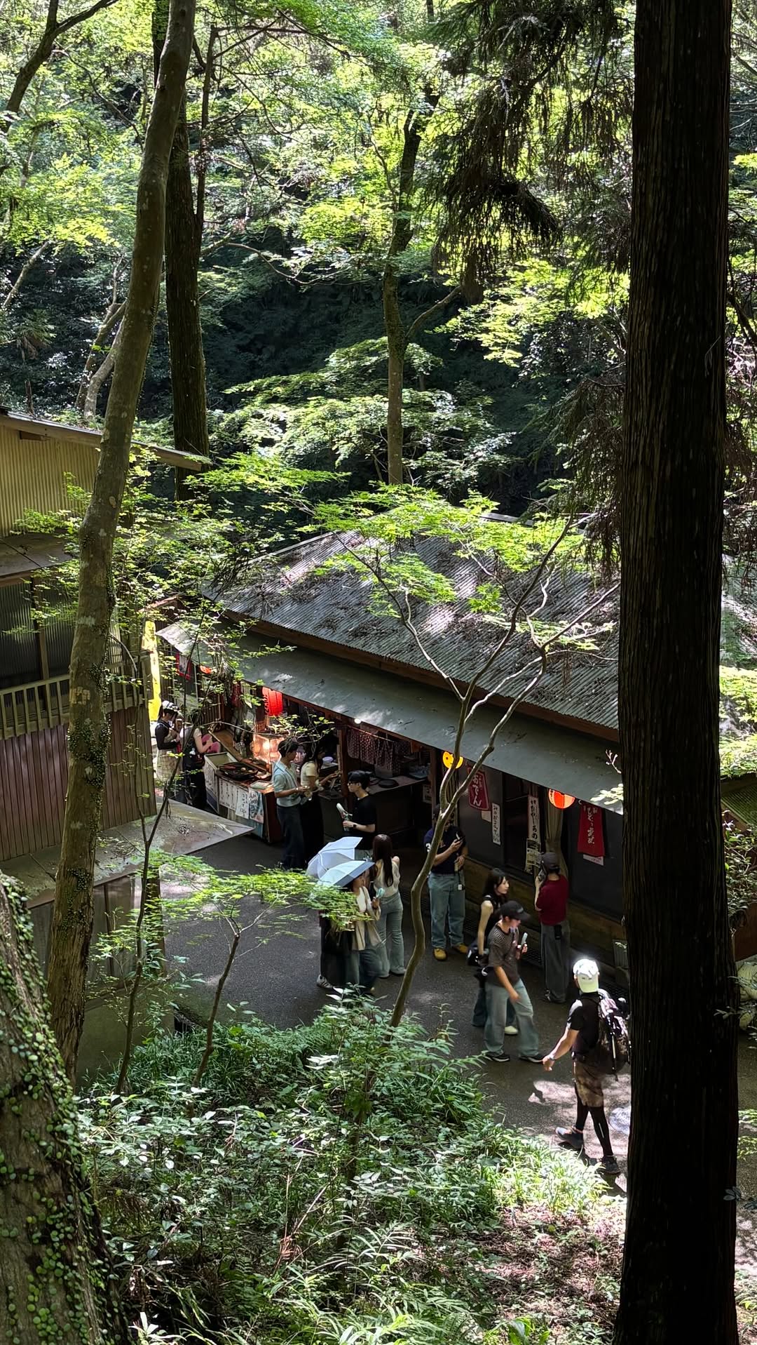 Minoo Falls: A Japanese Nature Escape