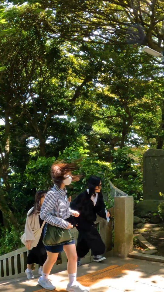 Enoshima Island: Gardens, Temples, and Sea Views