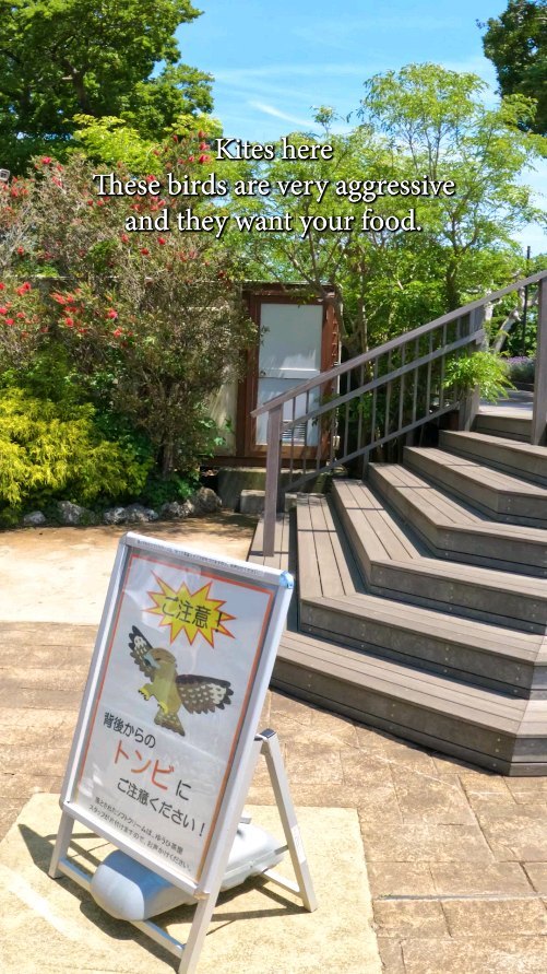 Enoshima Island Attractions and Gardens