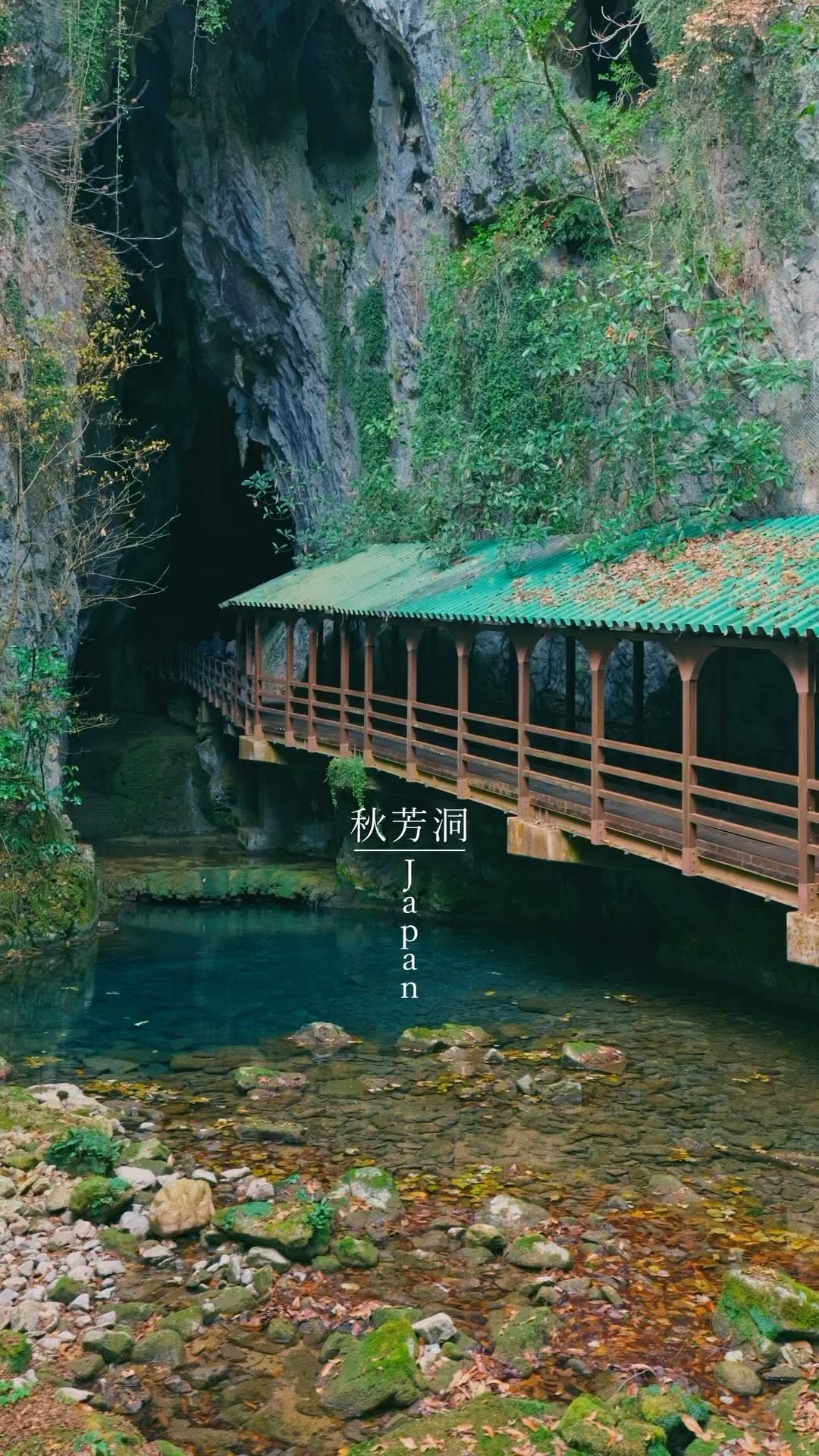 Akiyoshido Cave: Japan's Impressive Limestone Wonder