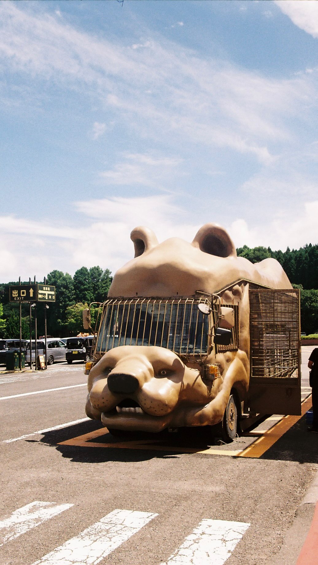 Kyushu Wildlife Park African Safari Experience