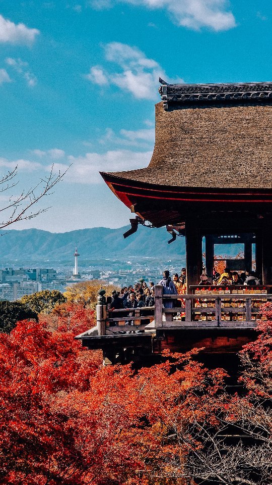Six Kyoto Temples and Shrines To Visit
