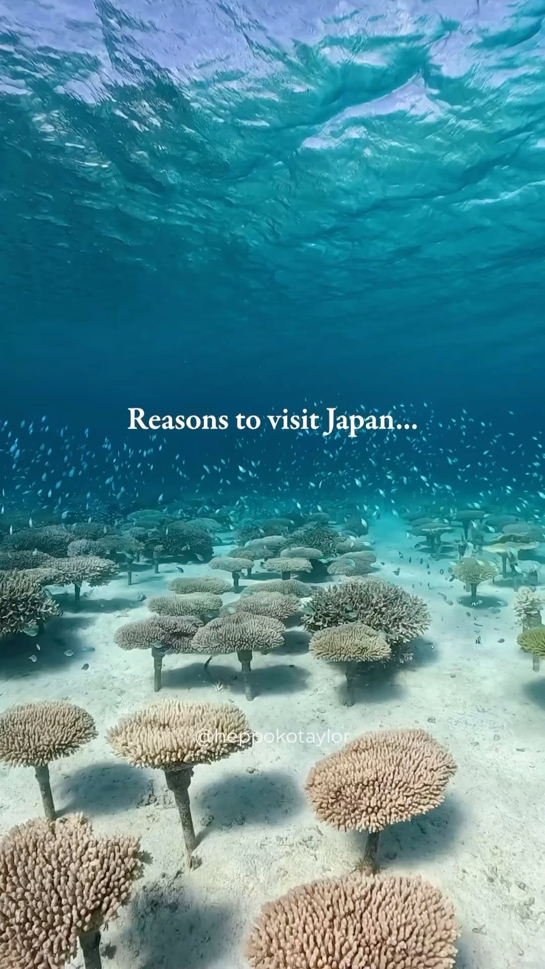 6 Attractions in Japan
