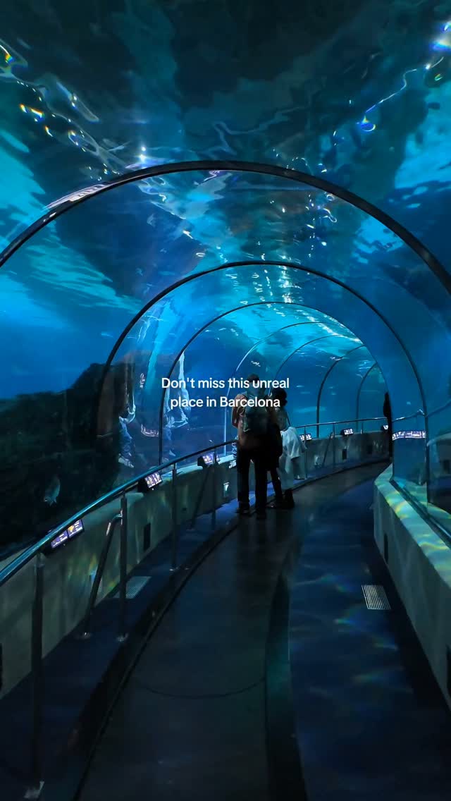Barcelona Aquarium's Shark Tunnel Experience