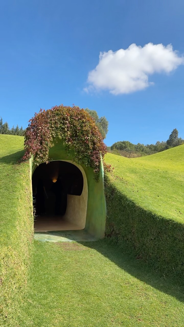 Parque Quetzalcóatl's Organic Architecture