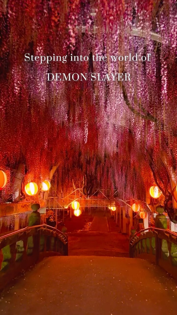 Wisteria Tunnel and Train Stations Festival